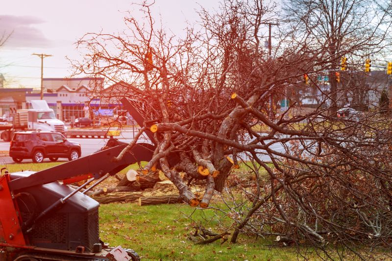 Ground Clearing in Salt Lake City, UT